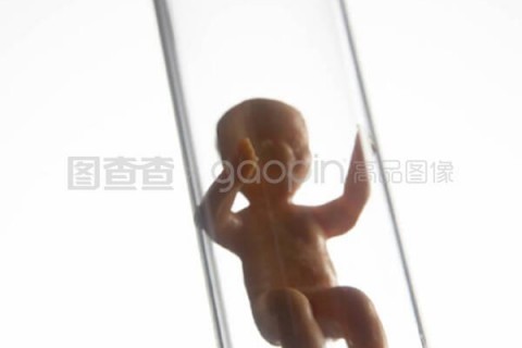 http://changzhou.nbgk120.com/post/209.html|常州捐卵费用